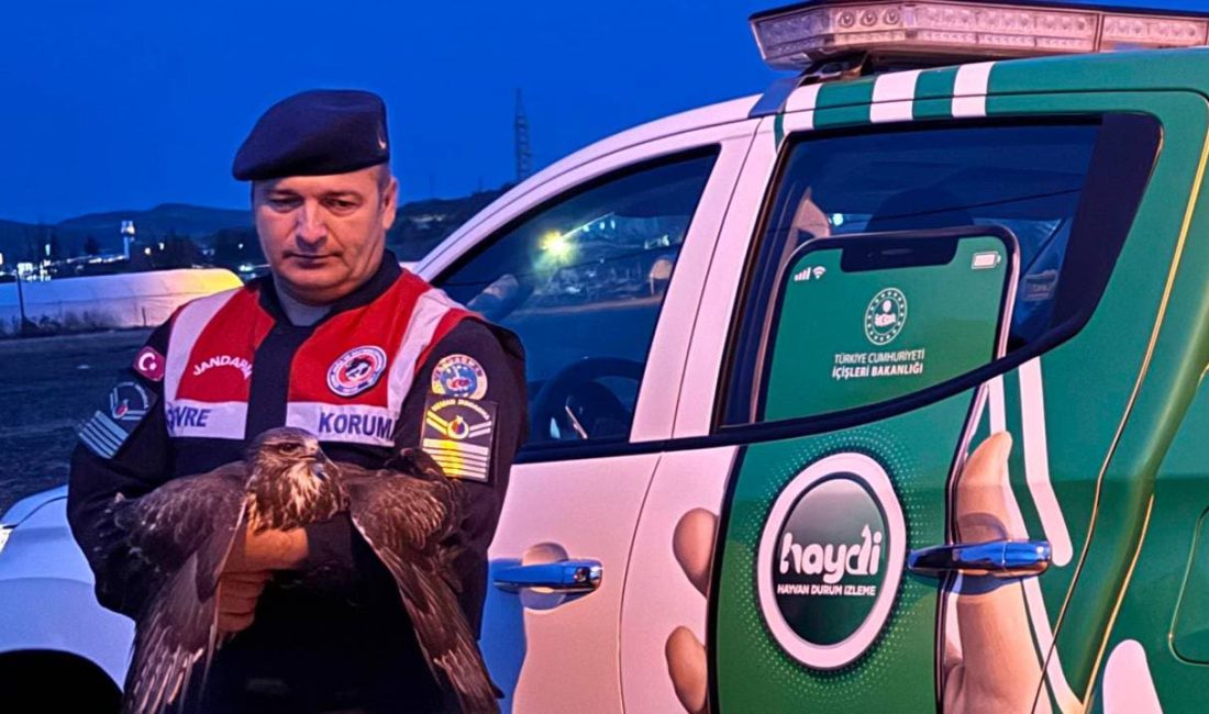 Yozgat İl Jandarma Komutanlığı Çevre, Doğa ve Hayvanları Koruma Timi