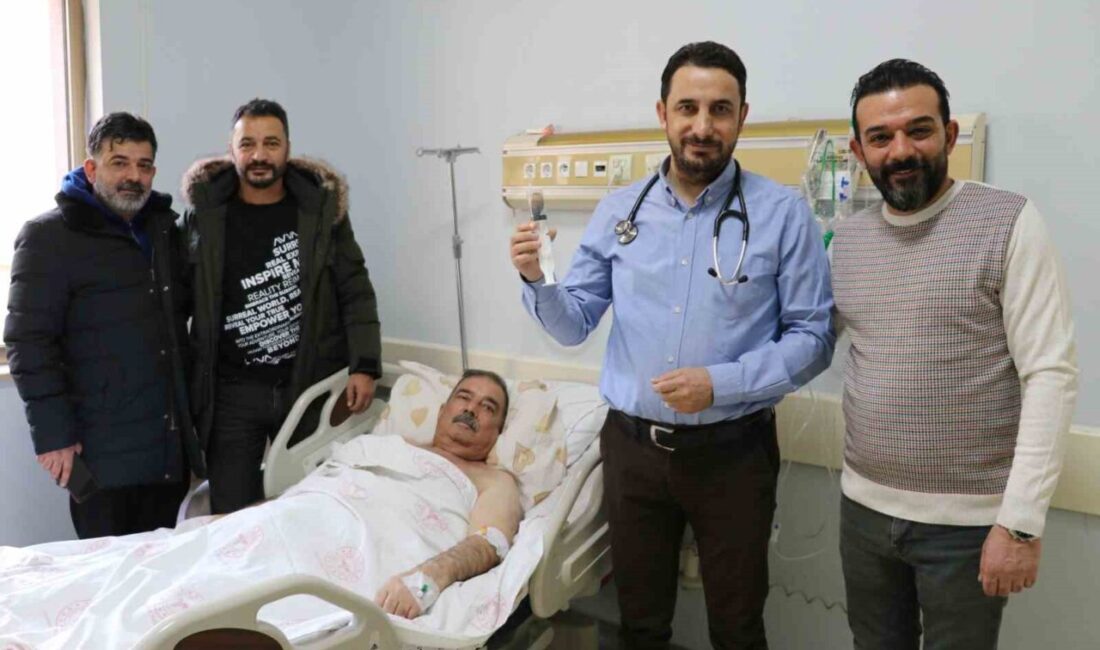 Van Eğitim ve Araştırma