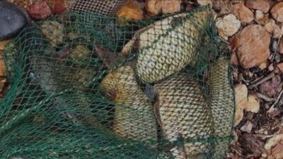 Yozgat İl Jandarma Komutanlığı Merkez İlçe Jandarma Komutanlığı’na bağlı Musabeyli