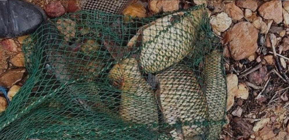 Yozgat İl Jandarma Komutanlığı Merkez İlçe Jandarma Komutanlığı’na bağlı Musabeyli