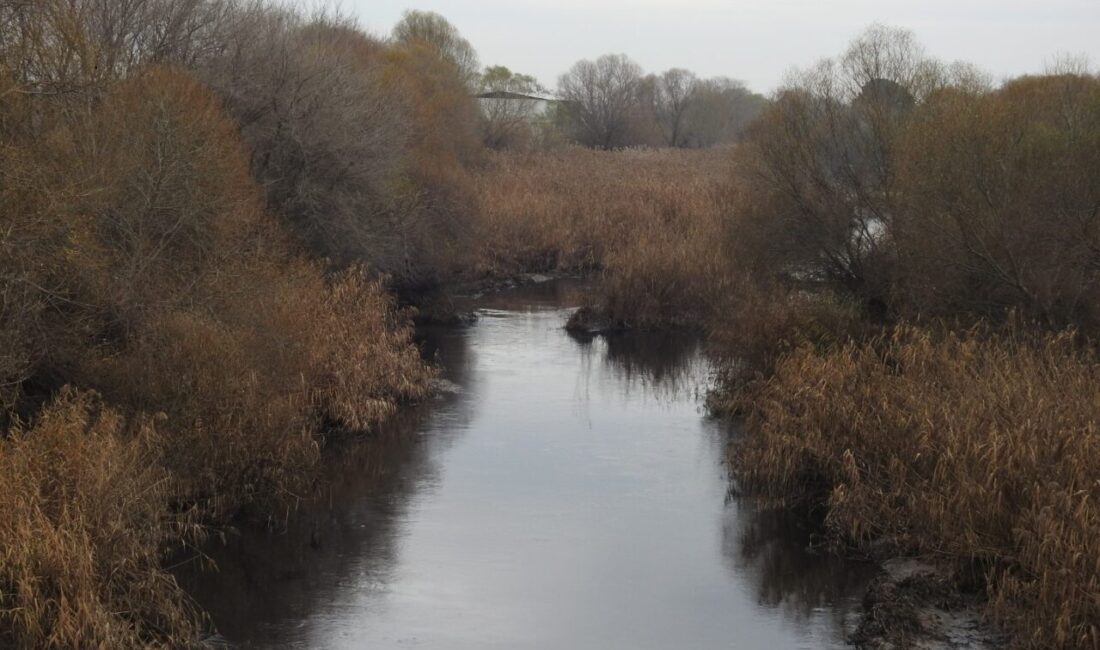 Gediz Nehri'nin korunmasına odaklanan