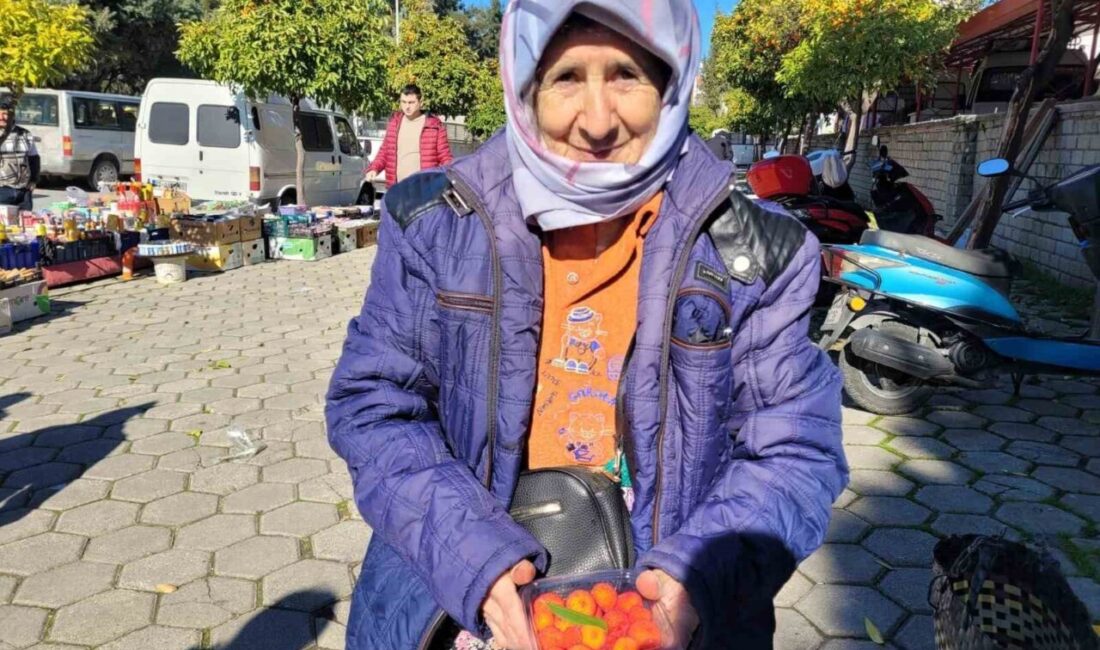 Karpuzlu ilçesinde yaşayan Semiha Şahin, dağ çileği ve diğer ürünlerini