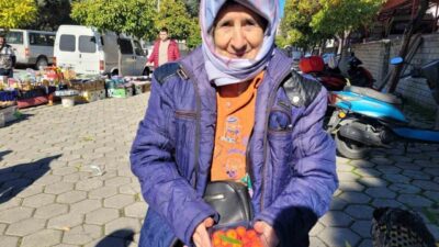 Karpuzlu ilçesinde yaşayan Semiha Şahin, dağ çileği ve diğer ürünlerini
