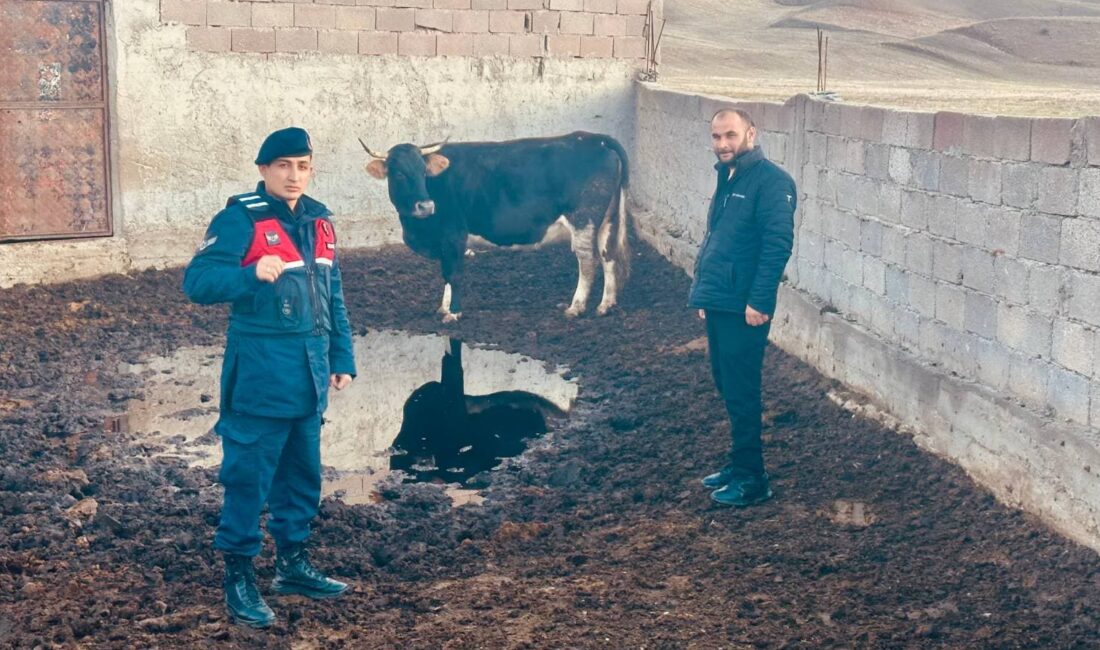 Yozgat İl Jandarma Komutanlığı ve Yerköy İlçe Jandarma Komutanlığı ekipleri,