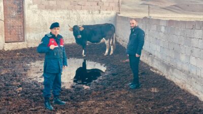 Yozgat İl Jandarma Komutanlığı ve Yerköy İlçe Jandarma Komutanlığı ekipleri,
