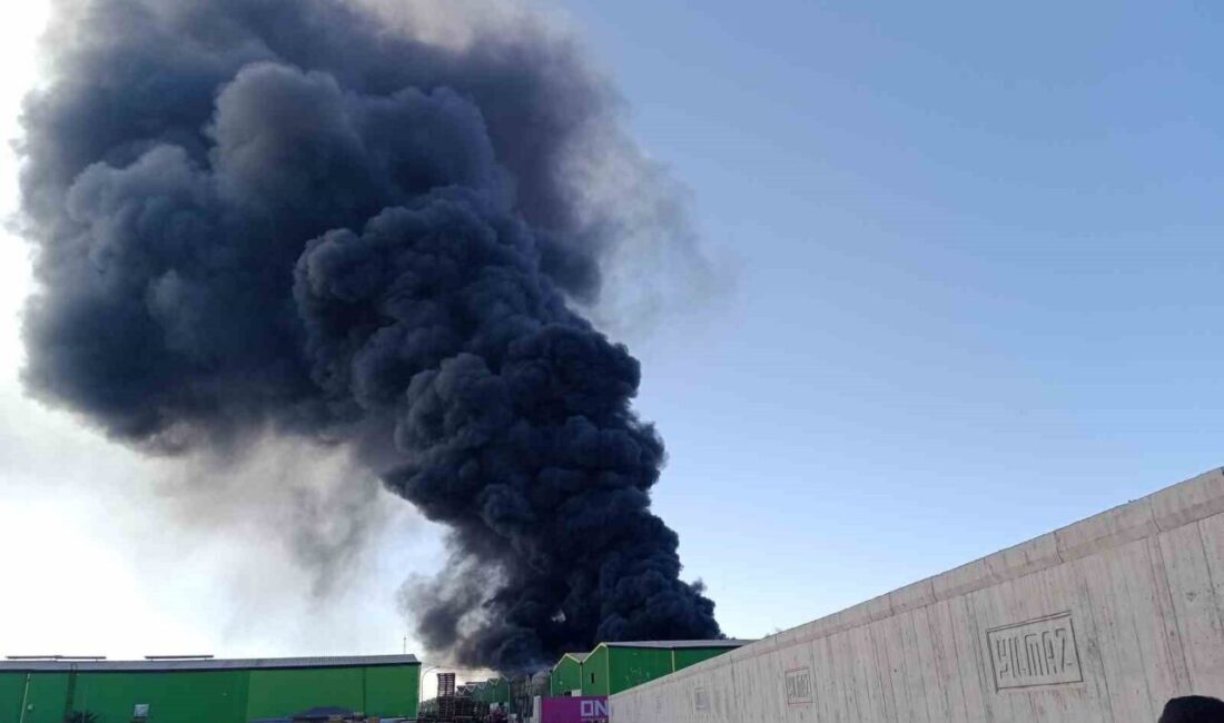 Adana'da Sarıhamzalı Mahallesi'nde bir geri dönüşüm fabrikasında çıkan yangına Adana