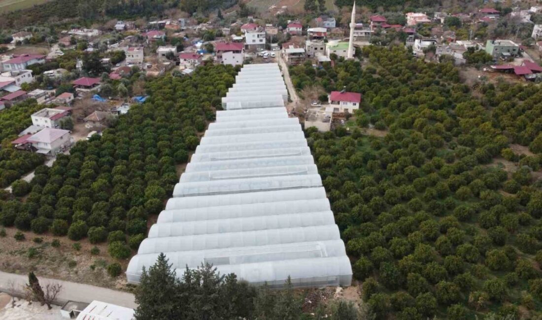 Adana'nın Kozan ilçesindeki Bucak bölgesinde, Elektrik Elektronik Mühendisi Çağatay Enes