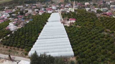 Adana'nın Kozan ilçesindeki Bucak bölgesinde, Elektrik Elektronik Mühendisi Çağatay Enes