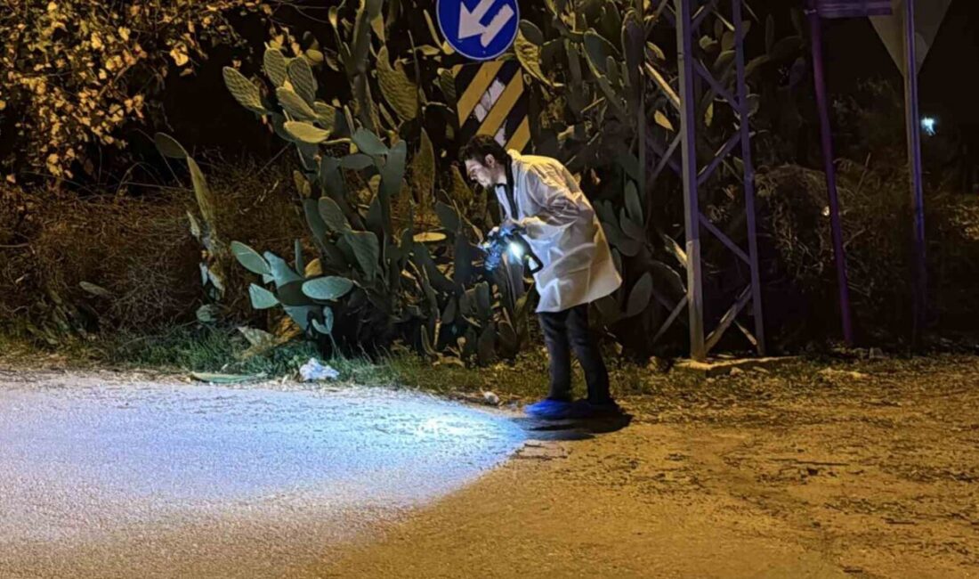 Adana'da kardeşlerin silahlı kavgada ölümüne neden olan 12 boş kovan
