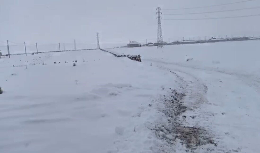 Adilcevaz'da kar yağışı nedeniyle kapanan köy yolları açılmak için ekipler