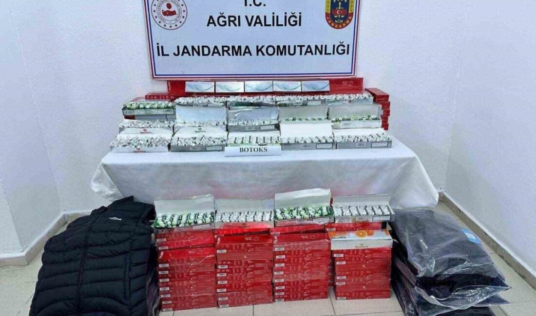 Ağrı'da Jandarma ekiplerinin düzenlediği