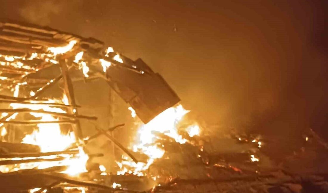 Denizli'nin Buldan ilçesinde çıkan yangın ormana sıçramadan kontrol altına alındı.