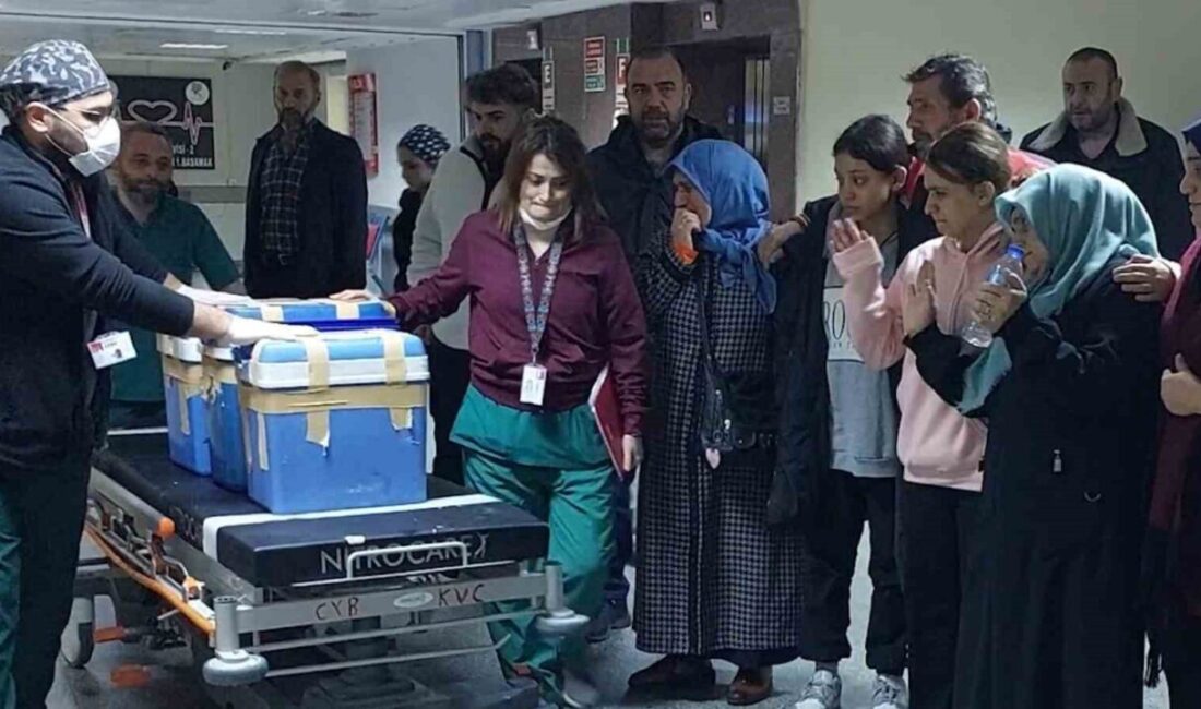 Rize'de yaşanan trafik kazasında