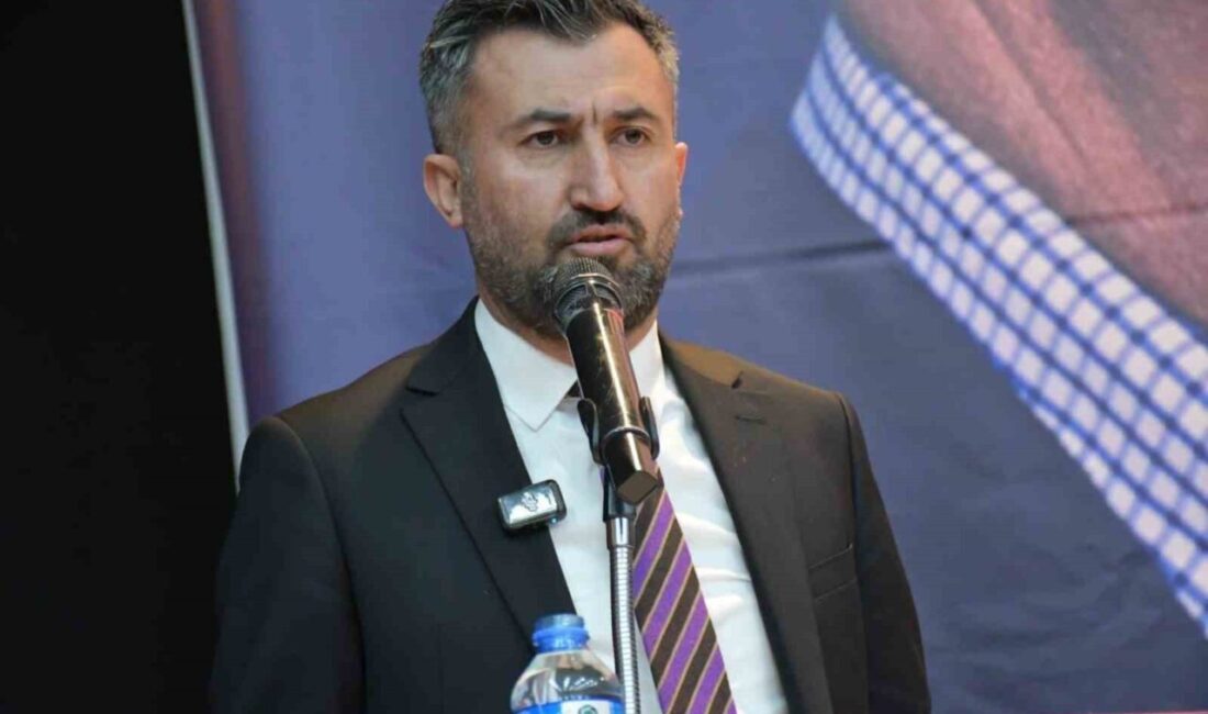 Zeynep Eldem, AK Parti