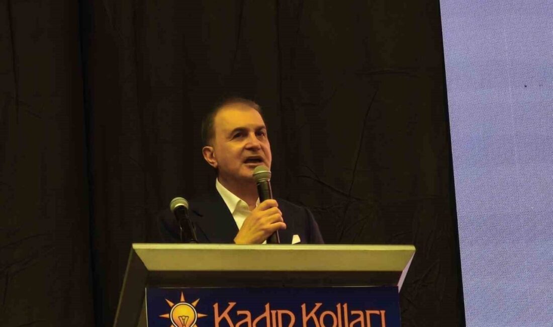 AK Parti Genel Başkan Yardımcısı Ömer Çelik, son yaşanan facialar