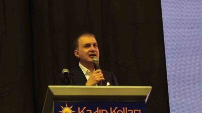 AK Parti Genel Başkan Yardımcısı Ömer Çelik, son yaşanan facialar