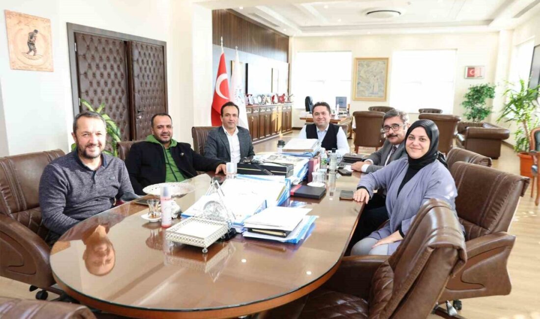 Alanya Alaaddin Keykubat Üniversitesi,