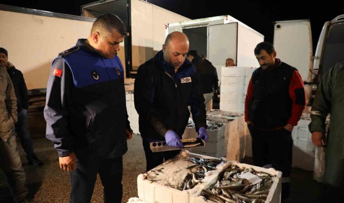 Altınordu Balık Hali’nde sıkı denetim Ordu Büyükşehir Belediyesi, Altınordu