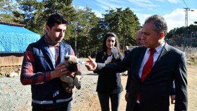 Osmaniye'de Amanos Dağları'nda yaşayan yaban ve sokak hayvanları için yem