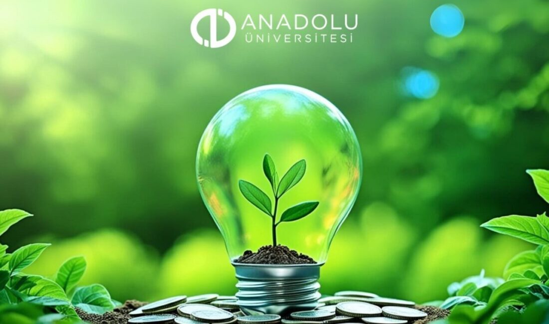 Anadolu Üniversitesi, 2024'te enerji tasarrufuyla 31,5 milyon TL kaynak sağlamıştır.