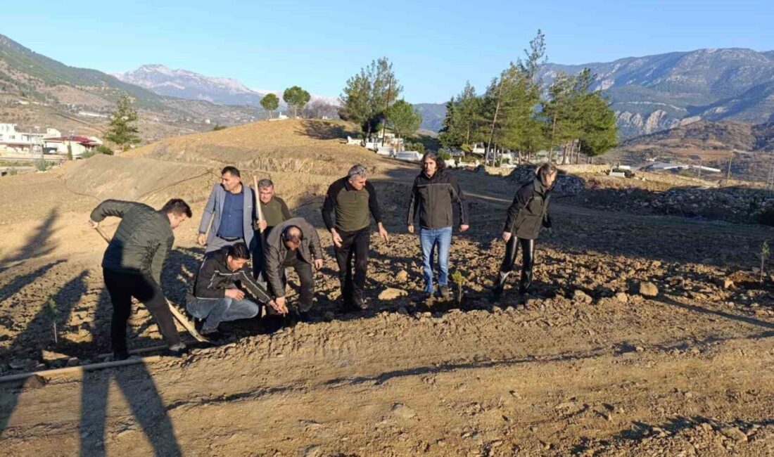 Anamur’da fidanlar toprakla buluşturuldu Mersin'in Anamur ilçesinde bulunan