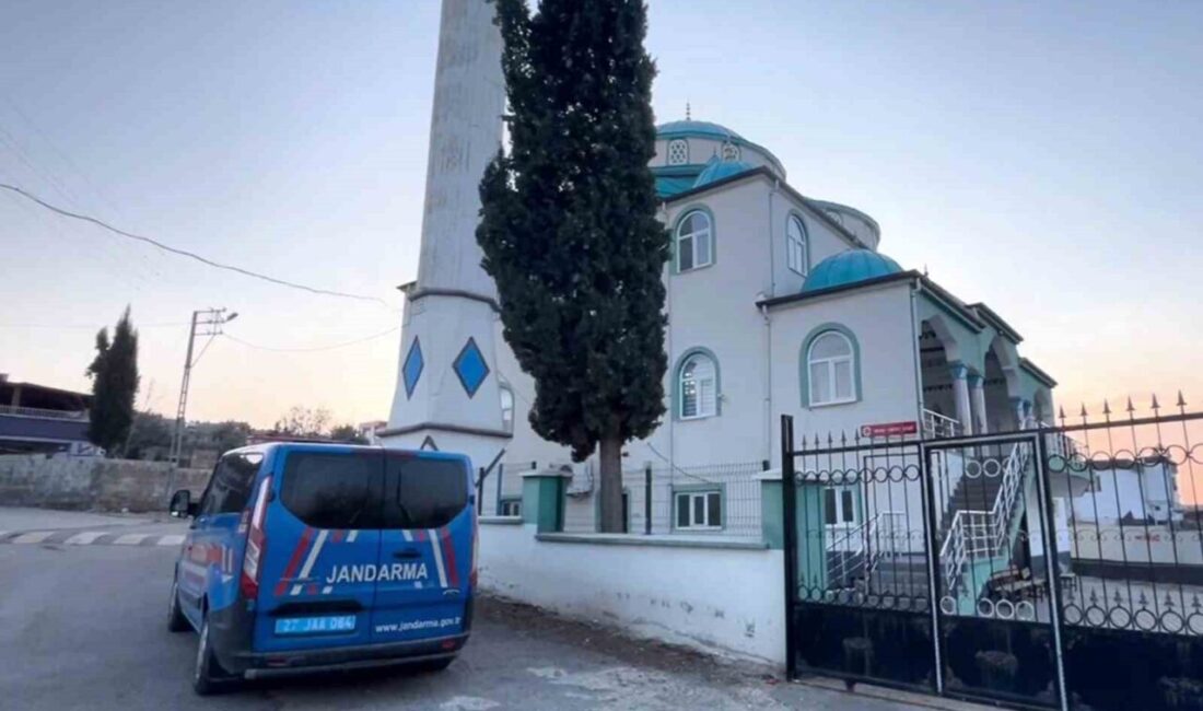 Gaziantep Araban Kaymakamlığı, orman