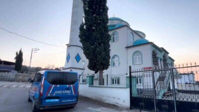 Gaziantep Araban Kaymakamlığı, orman vasfını yitirmiş arazilerle ilgili sosyal medyada