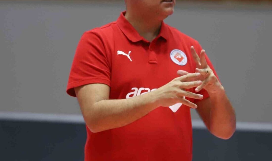Aras Kargo, ikinci yarıya yenilgiyle başladı Sultanlar Ligi'nde Aras Kargo,
