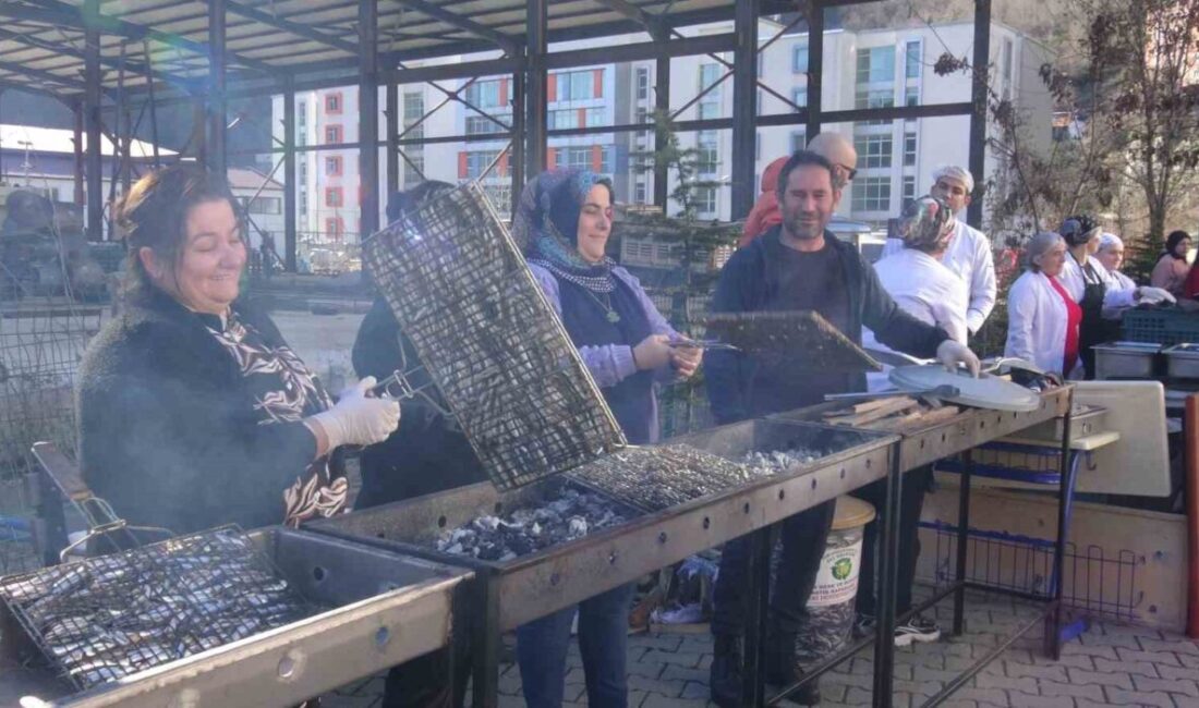 Artvin Borçka Anadolu Lisesi'nin