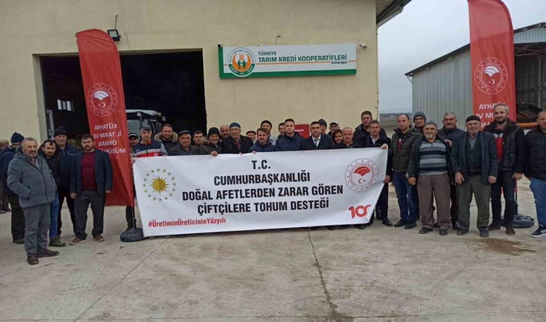 Aslanapa'da 147 çiftçiye bin 520 dekar alan için sertifikalı nohut