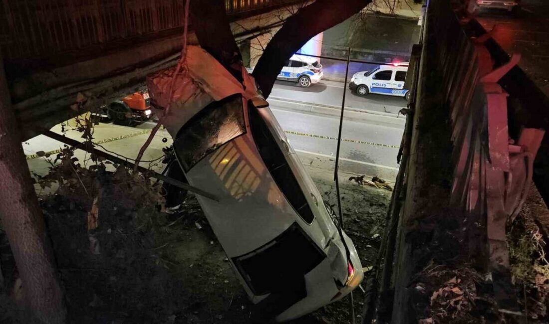 Ataköy'de alkollü sürücü Emre Aşmaz, aracını kontrol edemeyerek ağaca çarptı