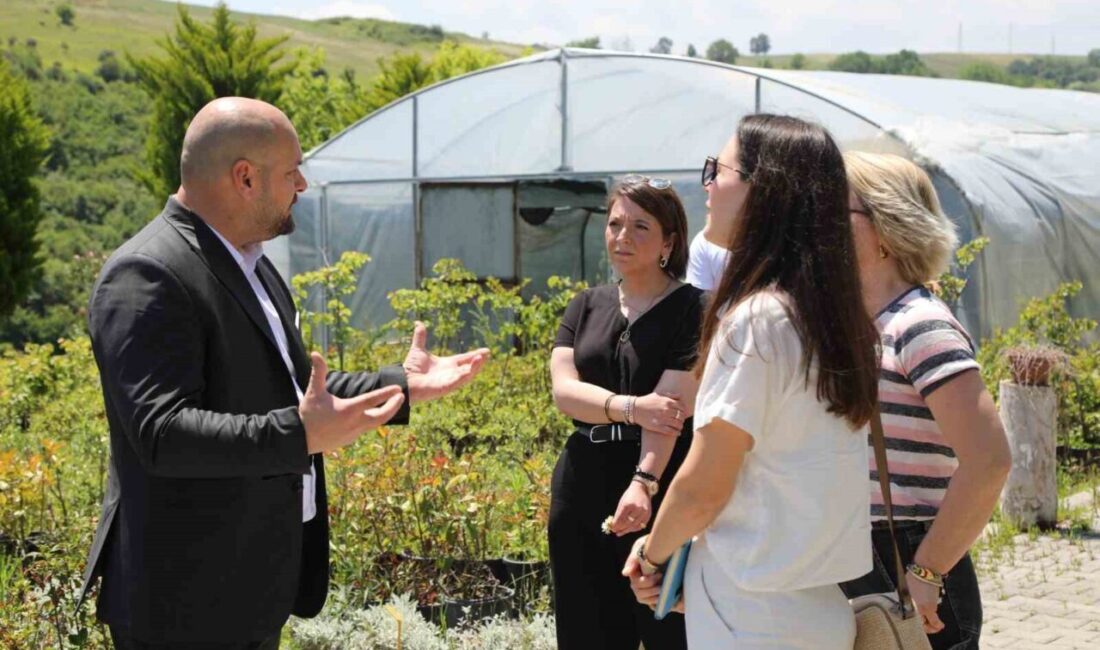 Atakum’da 215 fidan ve 2 bin 400 çalı dikildi Samsun'un Atakum Belediyesi, 2024