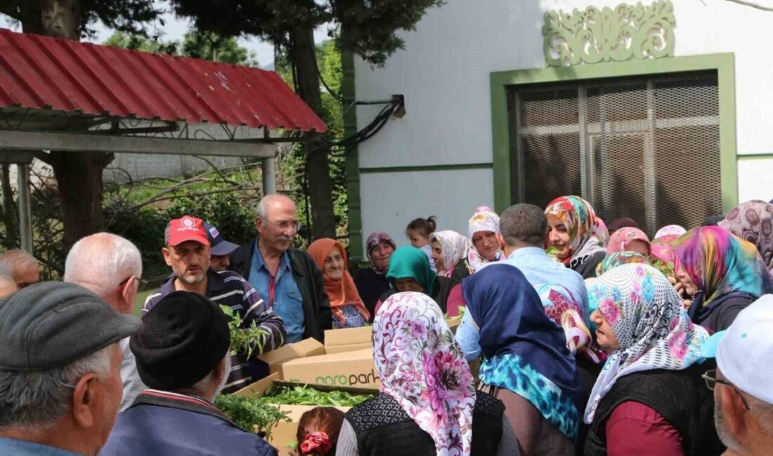 Samsun Atakum Belediye Başkanı