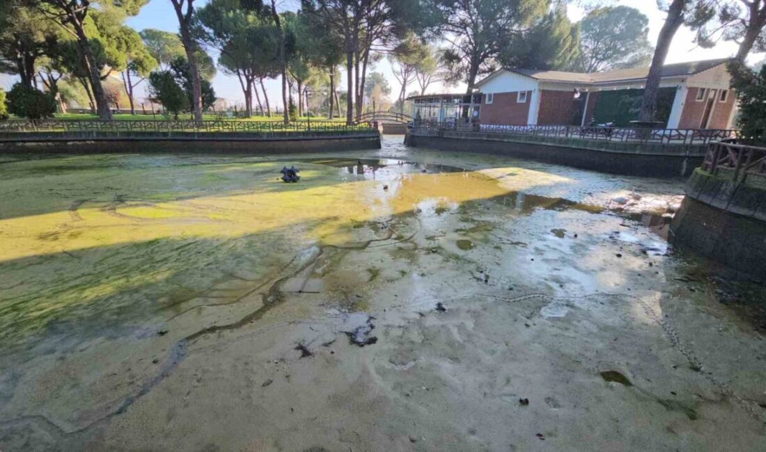 Aydın Büyükşehir Belediyesi ekipleri, Nazilli'deki Sümerpark'ta geniş çaplı bir temizlik