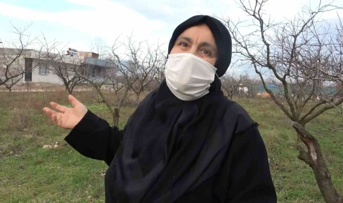 Bursa'da yaşayan Emine Görgen,