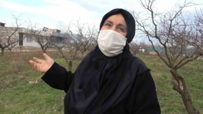 Bursa'da yaşayan Emine Görgen, babasından miras kalan arazisini satmak isterken