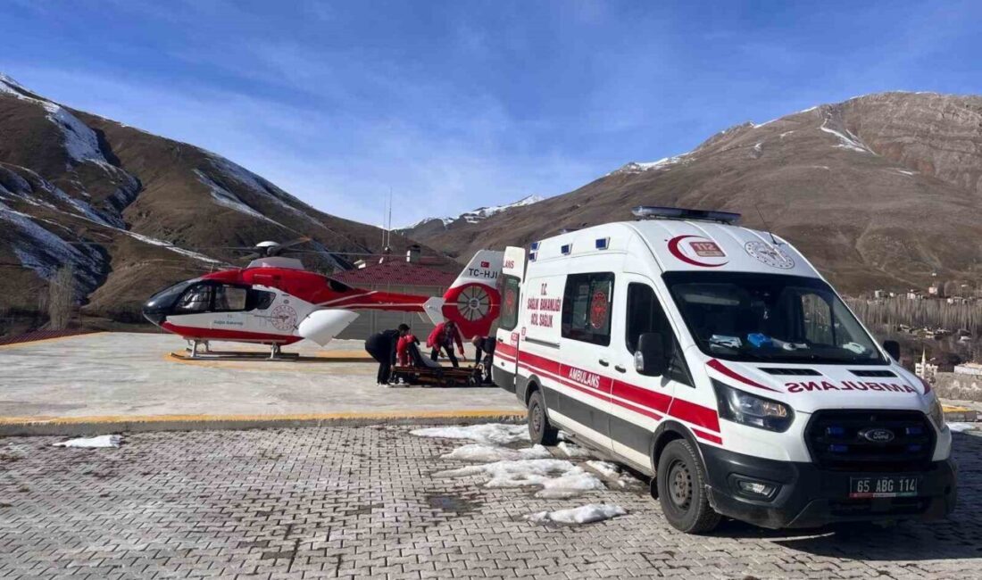 Van'ın Bahçesaray ilçesinde tedavi gören 36 yaşındaki hamile kadın, ambulans