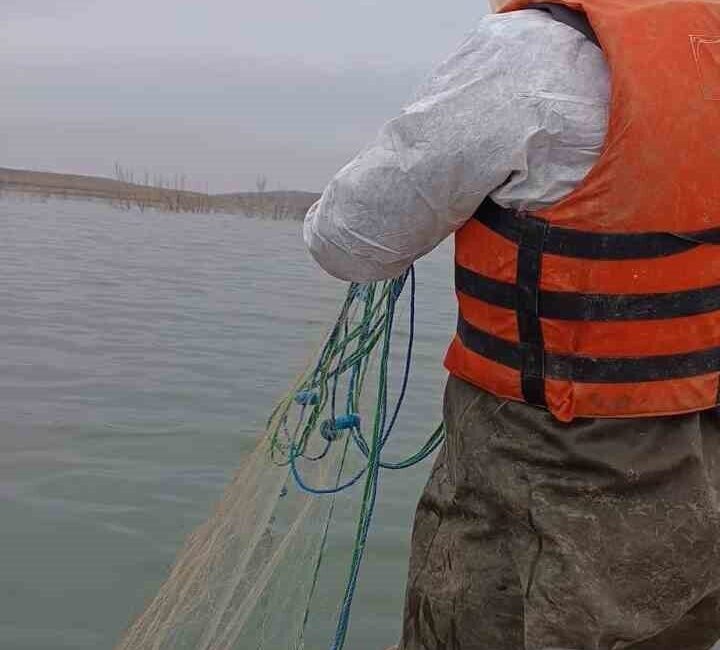 Alaca İlçe Tarım ve Orman Müdürlüğü ekipleri, Koçhisar Barajı'nda kaçak