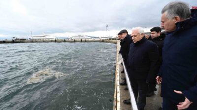 Bursa Büyükşehir Belediye Başkanı Mustafa Bozbey, Marmara Denizi'nde tekrar görülen