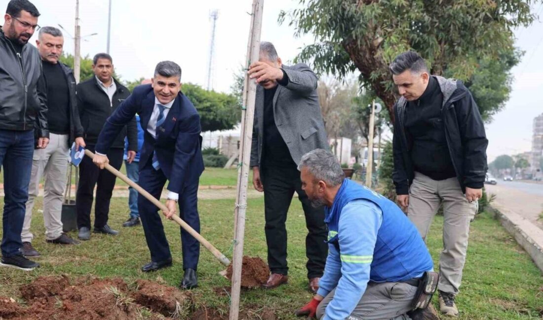 Mersin Akdeniz Belediyesi, Dr. Sadık Ahmet Parkı'ndaki bakım çalışmalarını hızlandırdı.