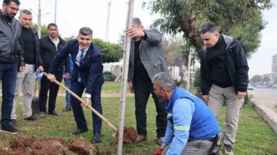 Mersin Akdeniz Belediyesi, Dr. Sadık Ahmet Parkı'ndaki bakım çalışmalarını hızlandırdı.