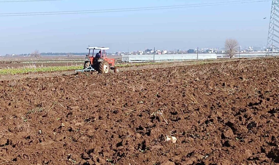 Batman Ziraat Odası Genel Sekreteri Ebubekir Doğan, kentteki kuraklığın tarımsal