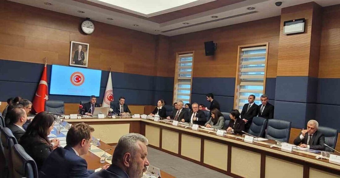 TBMM Bebek Ölümlerini ve Özel Sağlık Kuruluşlarını Araştırma Komisyonu, AK