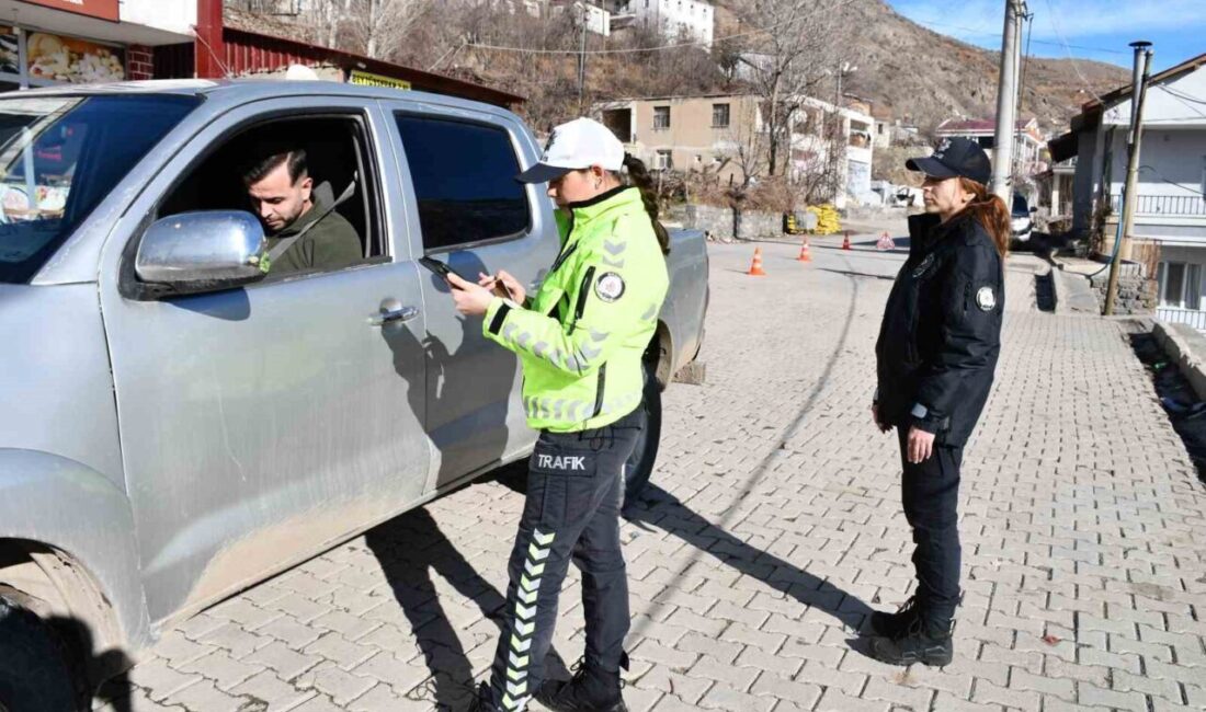 Şırnak'ın Beytüşşebap ilçesinde görev
