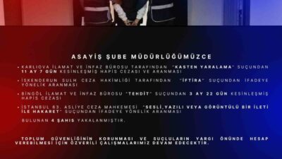 Bingöl'de polis operasyonu sonucu "Kasten Yaralama", "İftira", "Tehdit" ve "Hakaret"