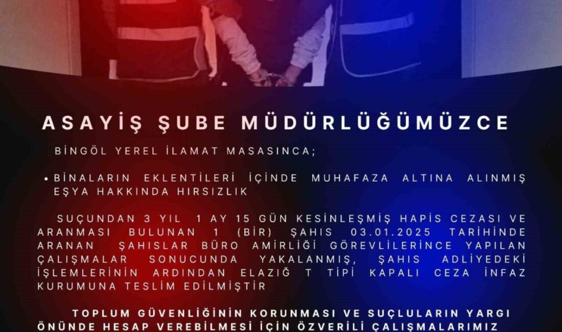 Bingöl’de polis ekiplerince yapılan