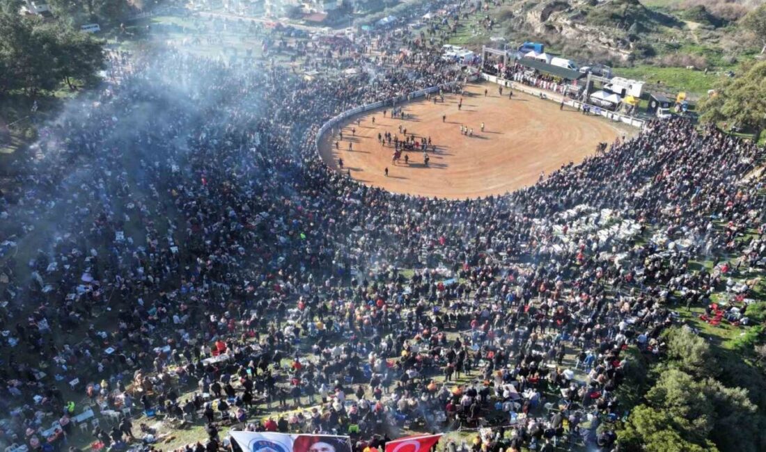 43. Uluslararası Efes Selçuk Deve Güreşleri Festivali, Selçuk'ta coşkuyla başladı.
