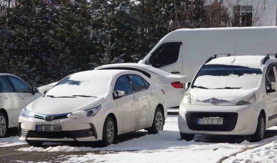 Bitlis’te 42 köy yolu ulaşıma kapandı Bitlis'te 42 köy yolu
