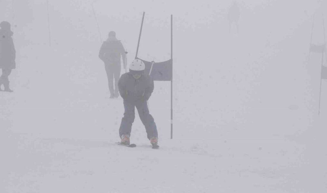 Bitlis’te “Alp Disiplini ve Snowboard İl Birinciliği Kayak Yarışması” yapıldı Bitlis'te düzenlenen Alp Disiplini