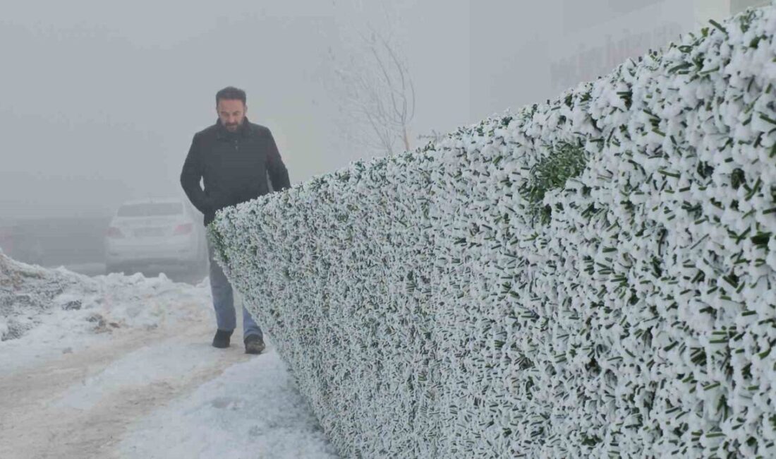 Tatvan'da soğuk hava ağaçlara kırağı tuttu, bölge kartpostallık manzaralara sahne